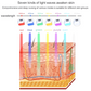 VITALIOS™ Heal LED Therapy